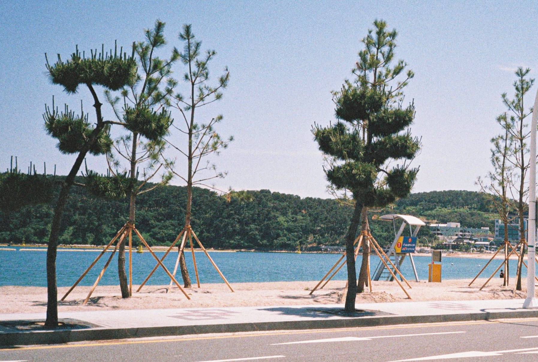 내가 찍은 청량한 한국의 여름 사진들 🪴 | 인스티즈