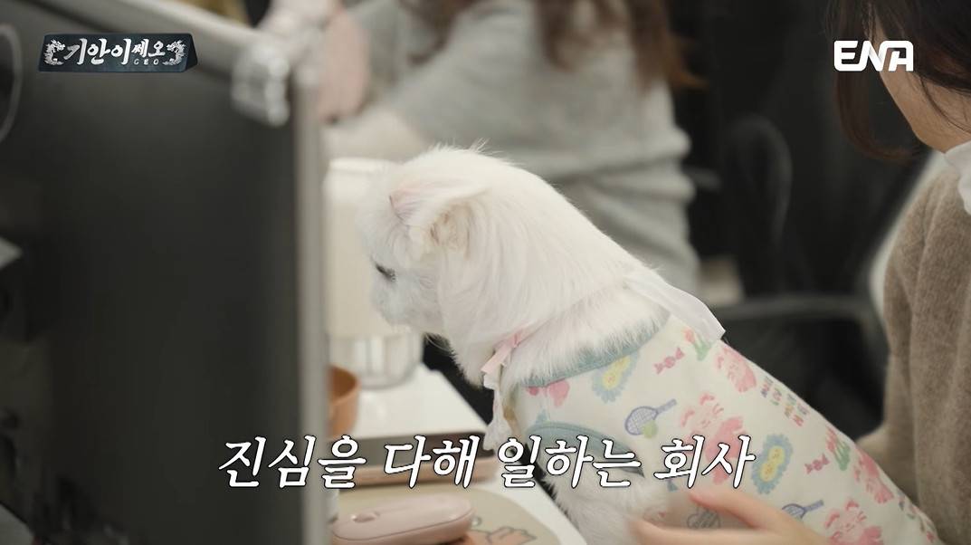 반려인이라면 꿈의 직장인 기업...jpg | 인스티즈