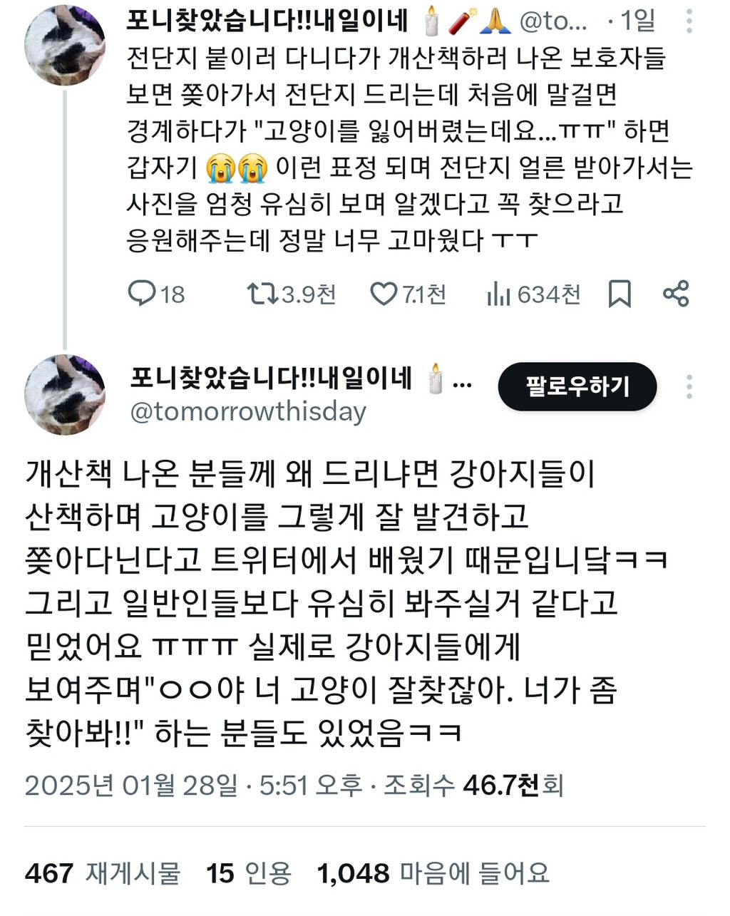 개산책하러 나온 보호자들 보면 쫒아가서 | 인스티즈