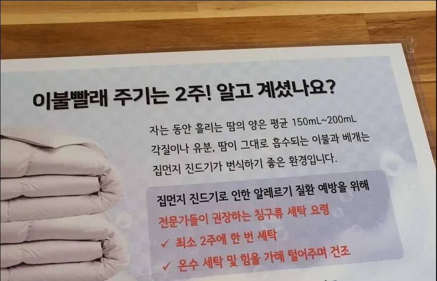 전문가들이 권장하는 이불 빨래 주기.jpg | 인스티즈