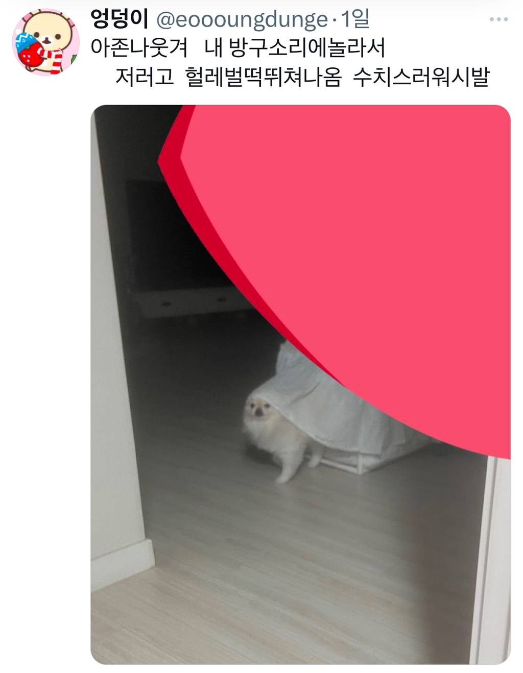 강아지가 헐레벌떡 뛰쳐나온 이유 | 인스티즈