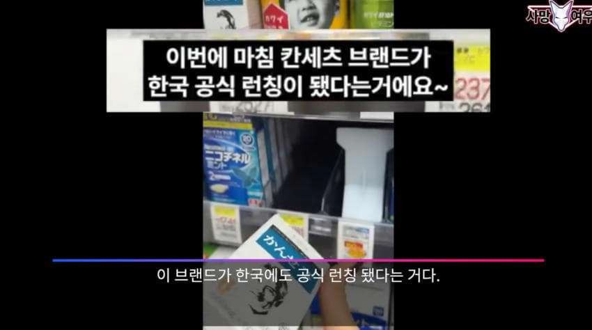 어이가 없는 사망 여우 이번 영상 | 인스티즈