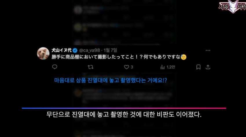 어이가 없는 사망 여우 이번 영상 | 인스티즈