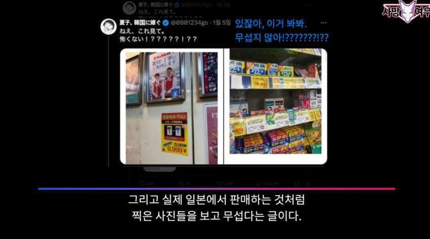 어이가 없는 사망 여우 이번 영상 | 인스티즈