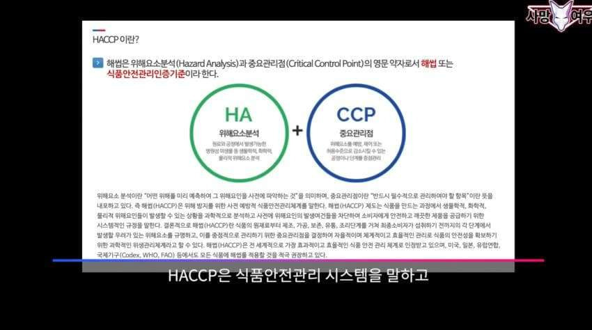 어이가 없는 사망 여우 이번 영상 | 인스티즈