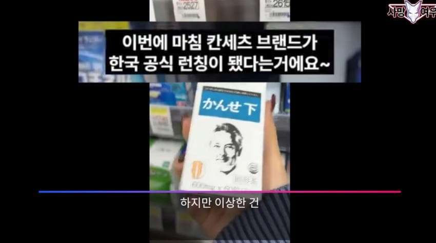 어이가 없는 사망 여우 이번 영상 | 인스티즈