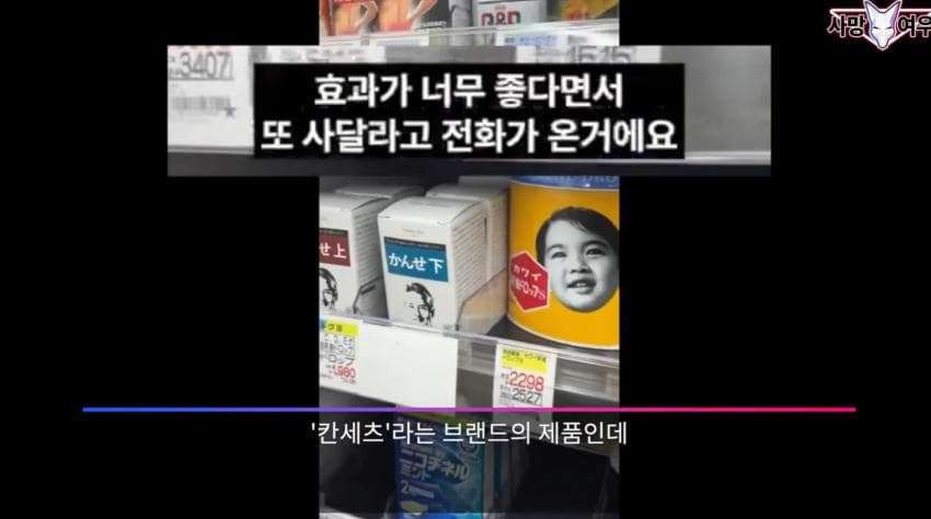 어이가 없는 사망 여우 이번 영상 | 인스티즈