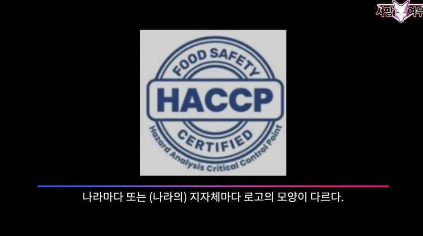 어이가 없는 사망 여우 이번 영상 | 인스티즈