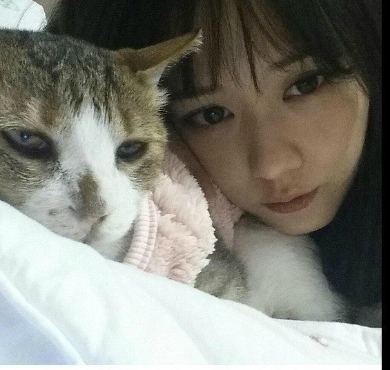 늙고 이,발가락없는 고양이 임보하고 유기묘 남 모르게 반려한 연예인 | 인스티즈