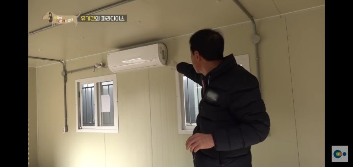 [충격] 무려 127마리 개고양이와 함께 지내는 회사 | 인스티즈