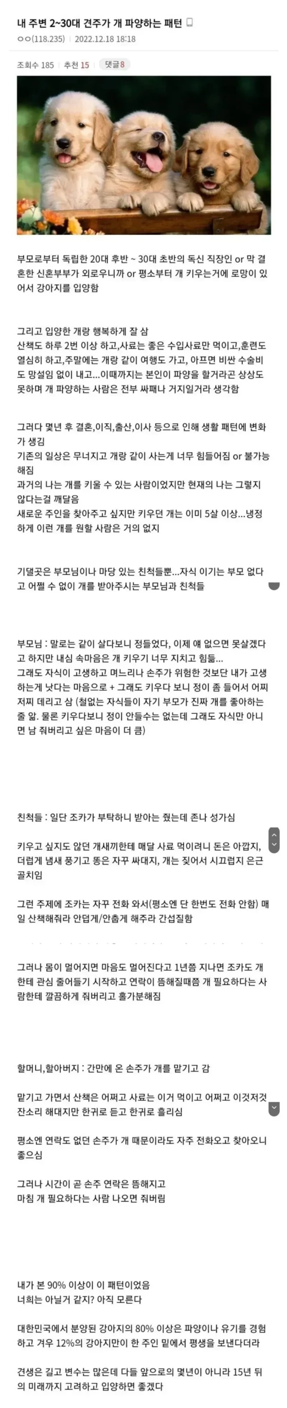 견주가 개 파양하는 패턴 | 인스티즈