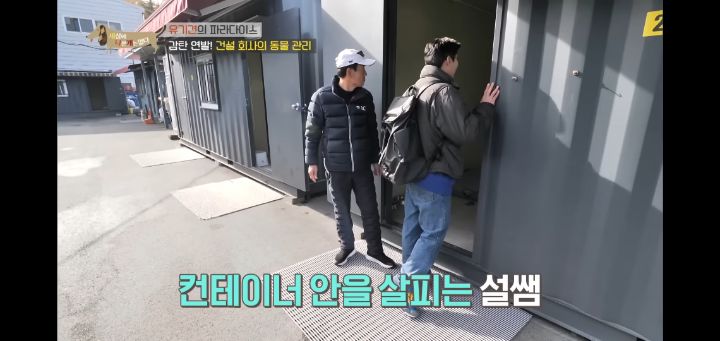 [충격] 무려 127마리 개고양이와 함께 지내는 회사 | 인스티즈