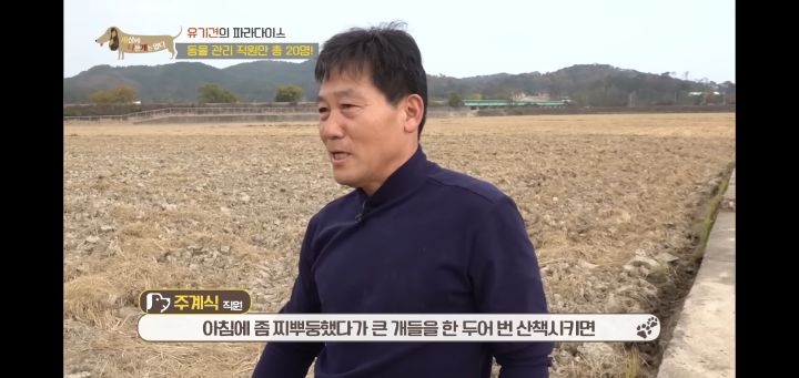 [충격] 무려 127마리 개고양이와 함께 지내는 회사 | 인스티즈