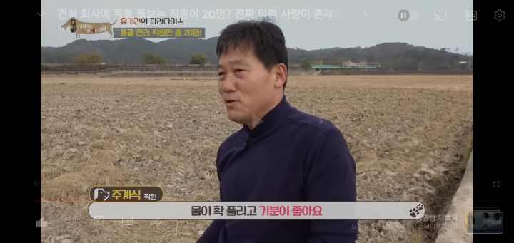 [충격] 무려 127마리 개고양이와 함께 지내는 회사 | 인스티즈