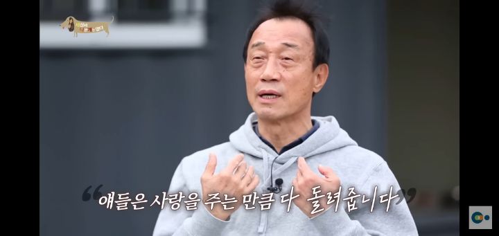 [충격] 무려 127마리 개고양이와 함께 지내는 회사 | 인스티즈