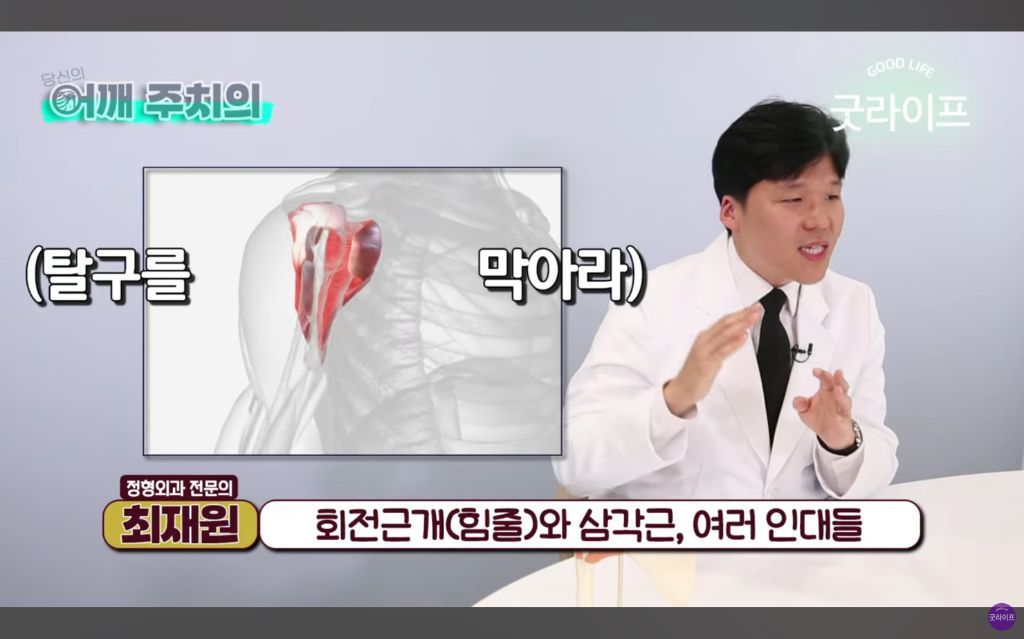 대부분의 상체운동은 하면 안된다는 정형외과 의사 | 인스티즈