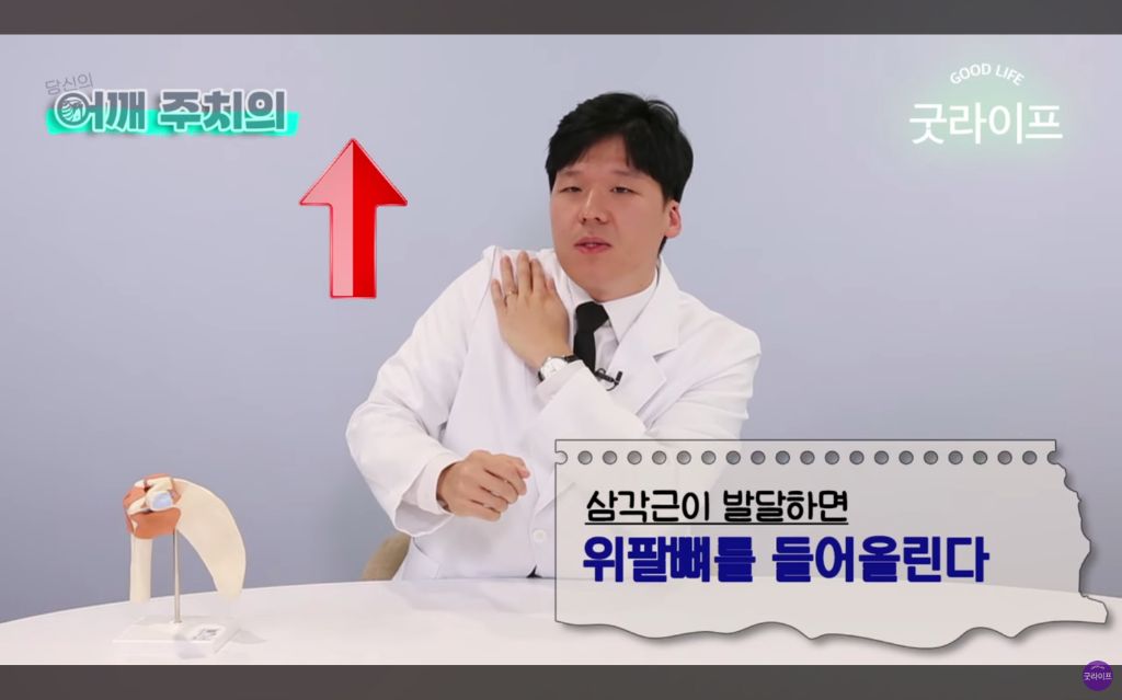 대부분의 상체운동은 하면 안된다는 정형외과 의사 | 인스티즈