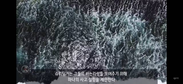 아 정말 재밌는데 한번만 봐봐 우리가 운 좋게 살아있는 과학적 이유 (개소름주의) | 인스티즈