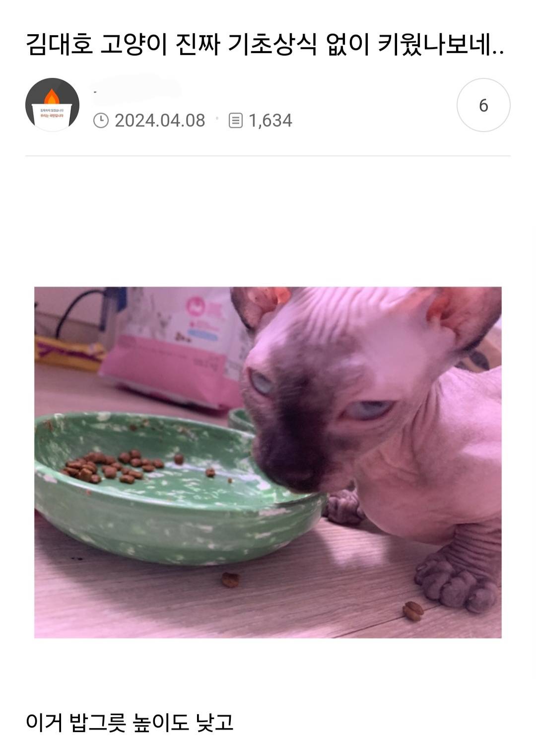 고양이 키우는 사람들이 보고 경악했다는 나혼산 김대호편 | 인스티즈
