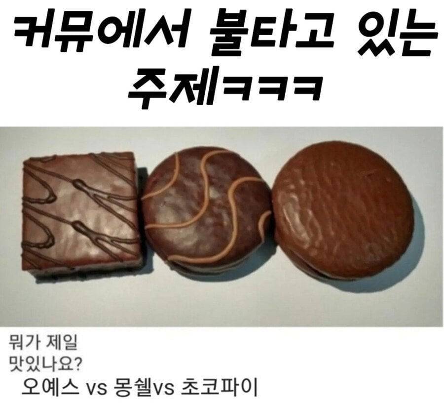 커뮤에서 불타고 있는 주제 | 인스티즈