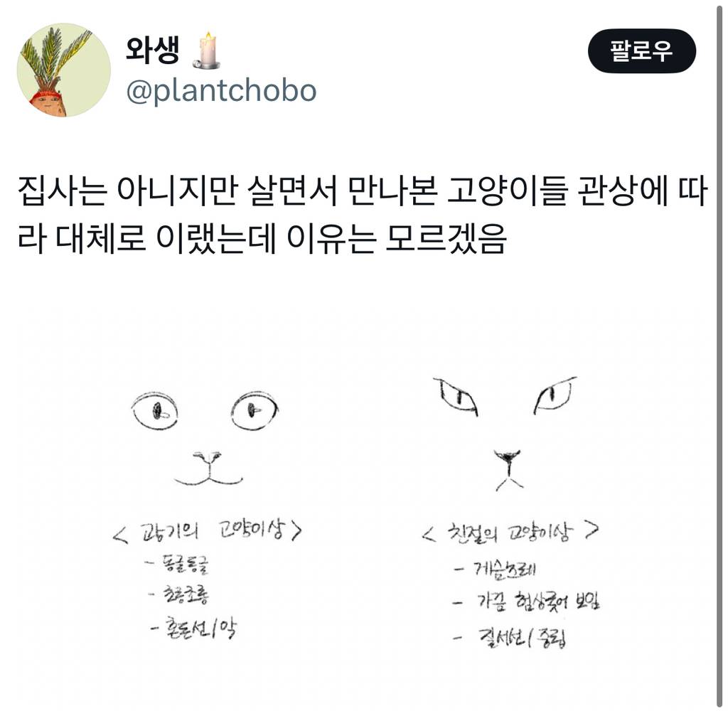 집사는 아니지만 살면서 만나본 고양이들 관상에 따라 대체로 이랬는데 이유는 모르겠음 | 인스티즈