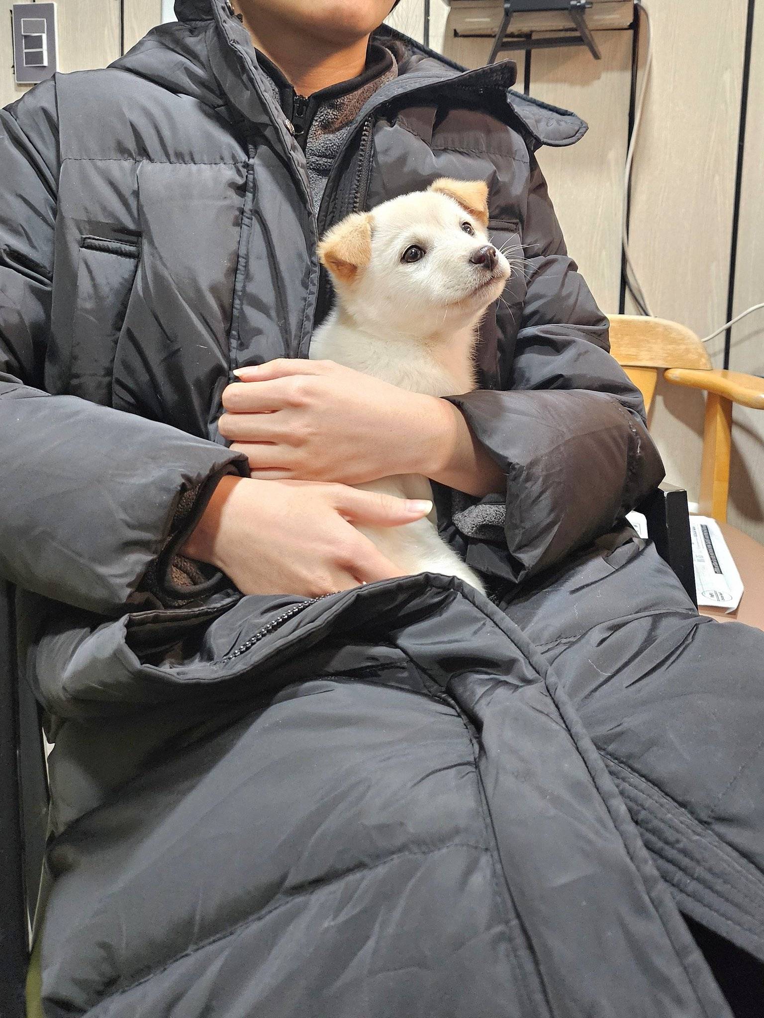 저랬던 애가 ....요래됐심더 .개란 진짜.... 뭘까 .......twt | 인스티즈