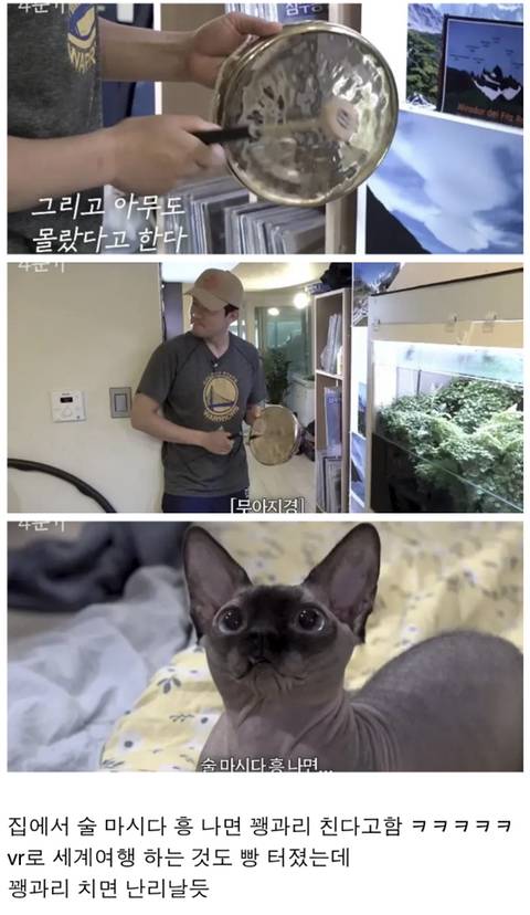 고양이 키우는 사람들이 보고 경악했다는 나혼산 김대호편 | 인스티즈