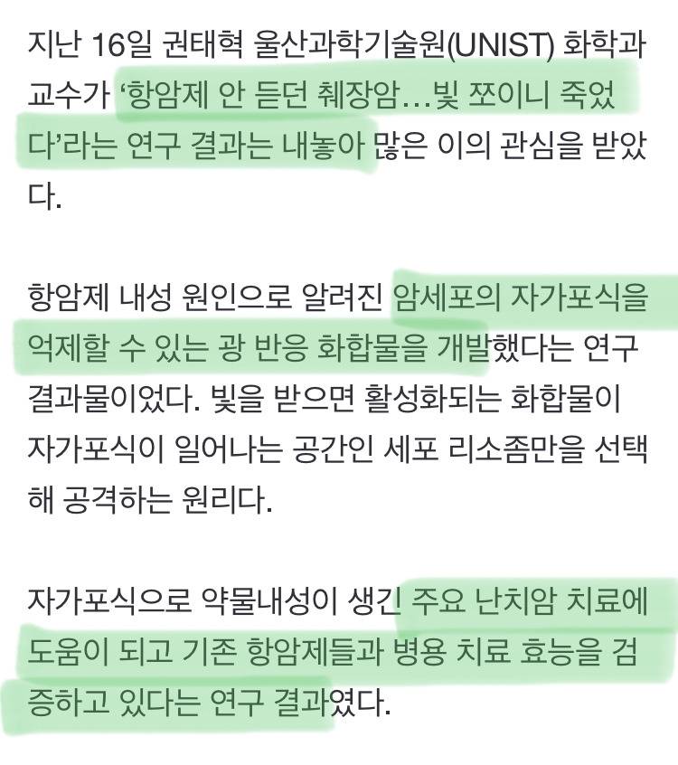 췌장암의 새로운 치료길 발견됐으나 "돈 없어 연구 지속 어렵다" | 인스티즈