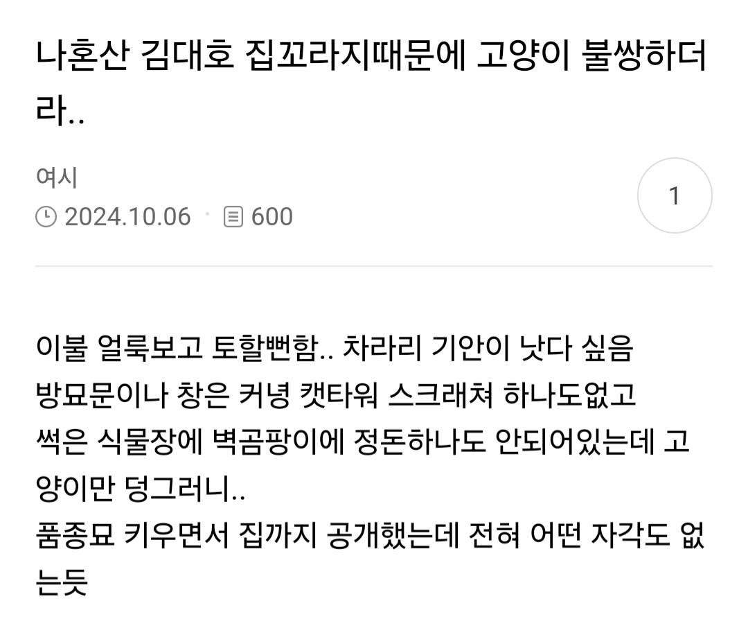 고양이 키우는 사람들이 보고 경악했다는 나혼산 김대호편 | 인스티즈