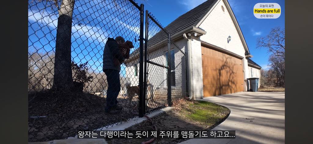 진짜 명견 같은 올리버쌤네 왕자 | 인스티즈