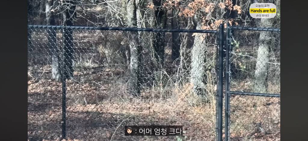 진짜 명견 같은 올리버쌤네 왕자 | 인스티즈