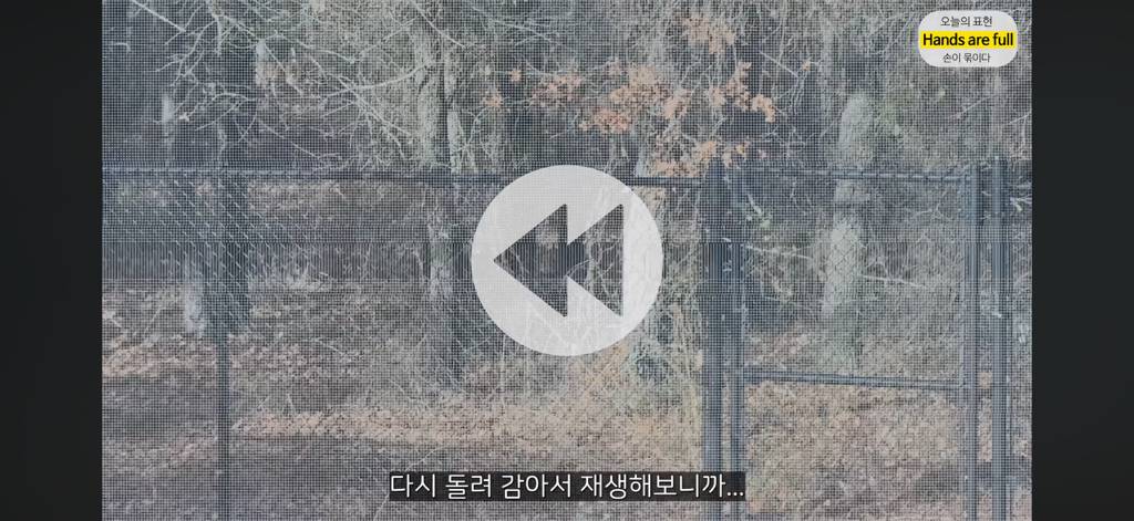 진짜 명견 같은 올리버쌤네 왕자 | 인스티즈