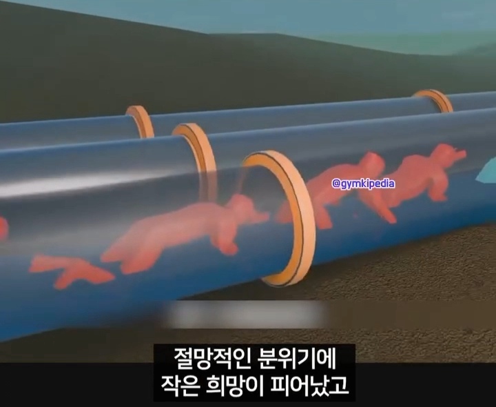 해외에서 소송중인 미친 사건 | 인스티즈