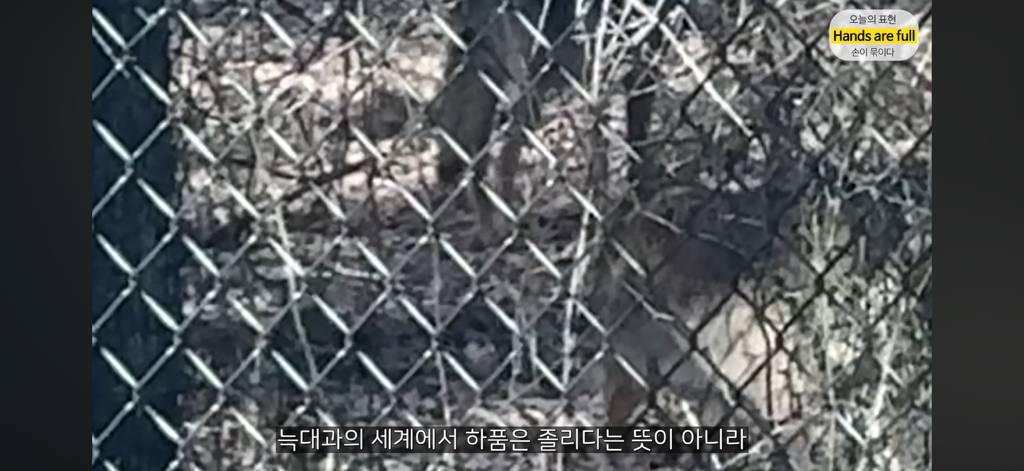 진짜 명견 같은 올리버쌤네 왕자 | 인스티즈