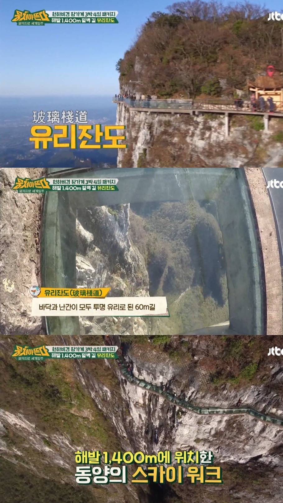 부모님들 효도여행 1위라는 장가계로 패키지 여행 간 예능인들.jpg | 인스티즈
