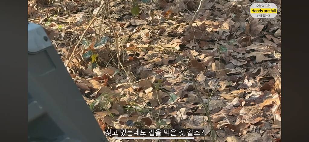 진짜 명견 같은 올리버쌤네 왕자 | 인스티즈