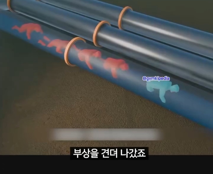 해외에서 소송중인 미친 사건 | 인스티즈