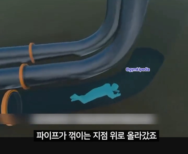 해외에서 소송중인 미친 사건 | 인스티즈