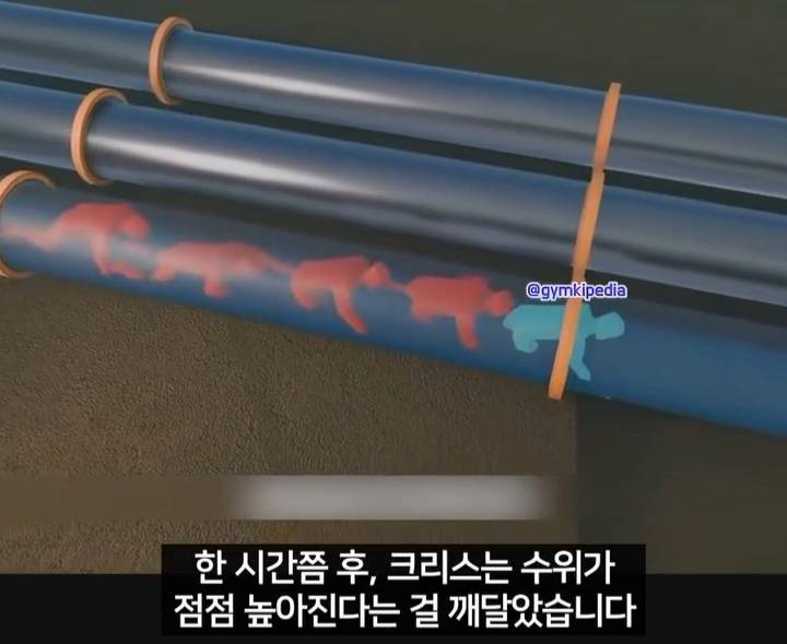 해외에서 소송중인 미친 사건 | 인스티즈