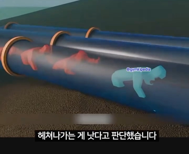 해외에서 소송중인 미친 사건 | 인스티즈