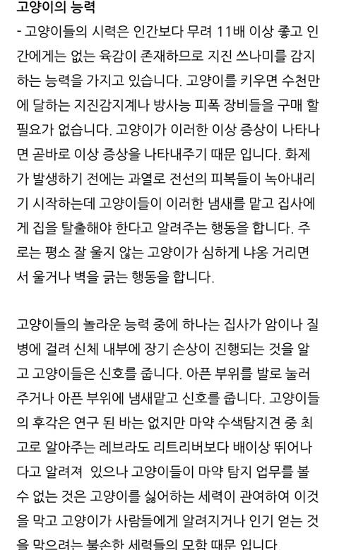 귀신 악령이 가장 싫어하는 고양이 | 인스티즈