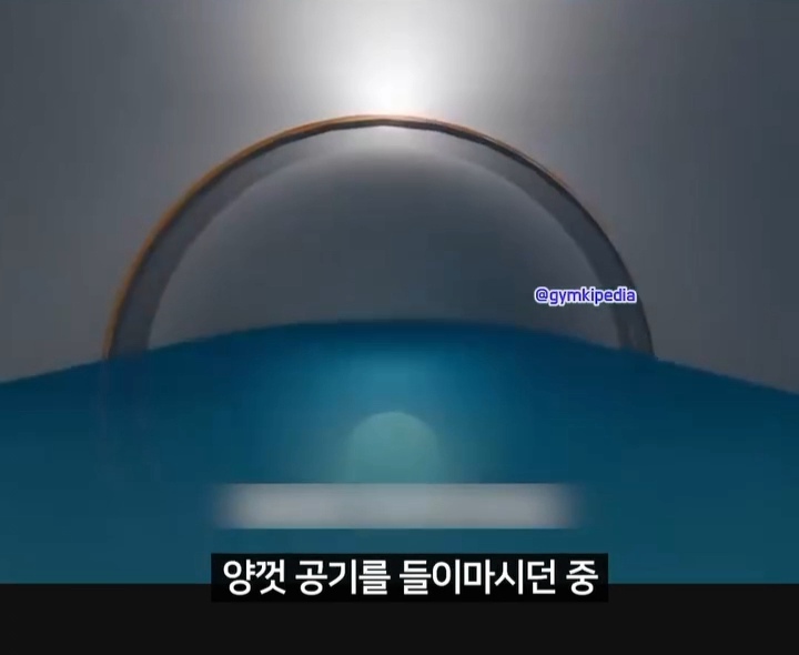 해외에서 소송중인 미친 사건 | 인스티즈
