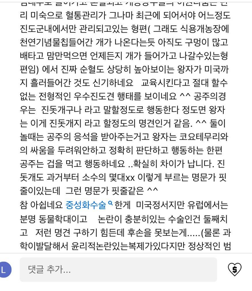 진짜 명견 같은 올리버쌤네 왕자 | 인스티즈