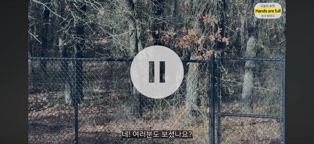 진짜 명견 같은 올리버쌤네 왕자 | 인스티즈