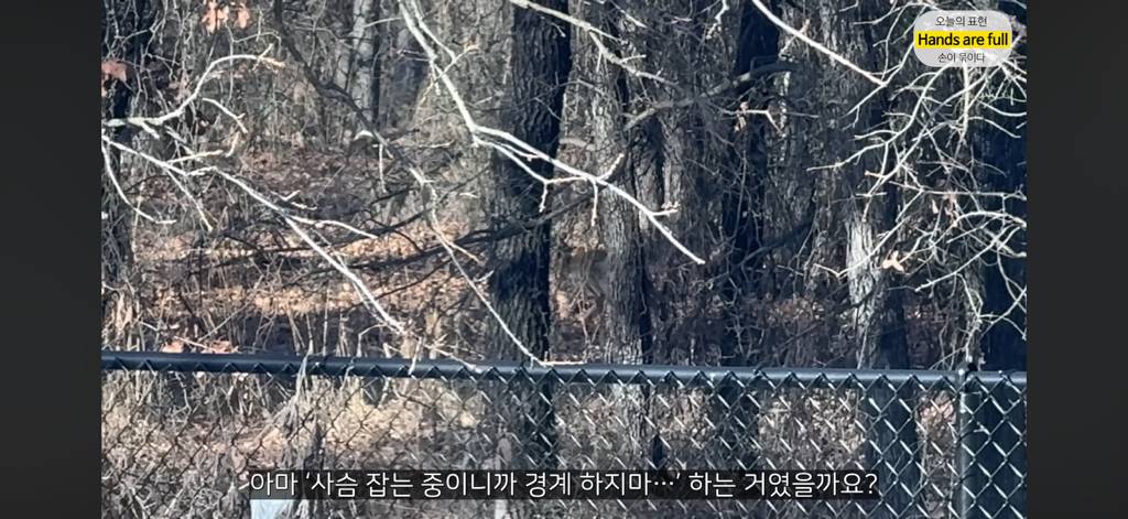 진짜 명견 같은 올리버쌤네 왕자 | 인스티즈