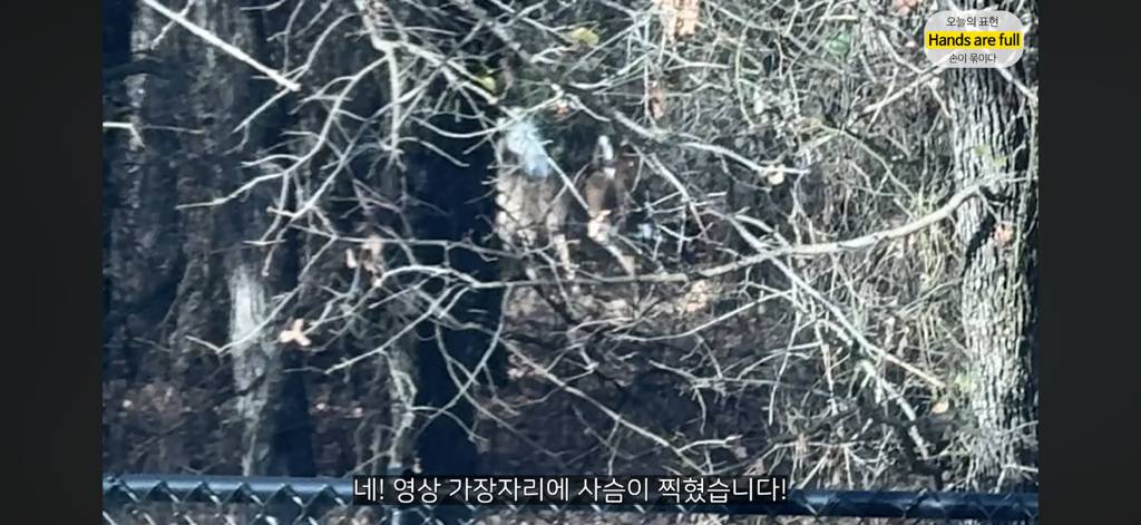 진짜 명견 같은 올리버쌤네 왕자 | 인스티즈