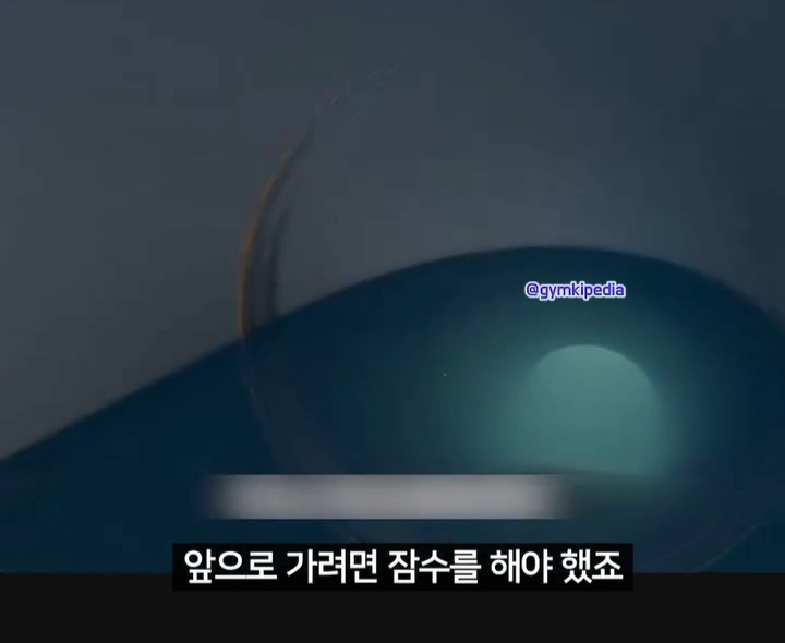 해외에서 소송중인 미친 사건 | 인스티즈