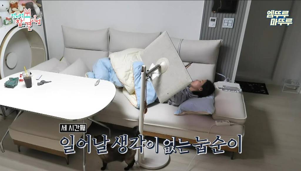 [전참시] 영상 내내 소파에서만 있는 연예인 ㅋㅋ | 인스티즈