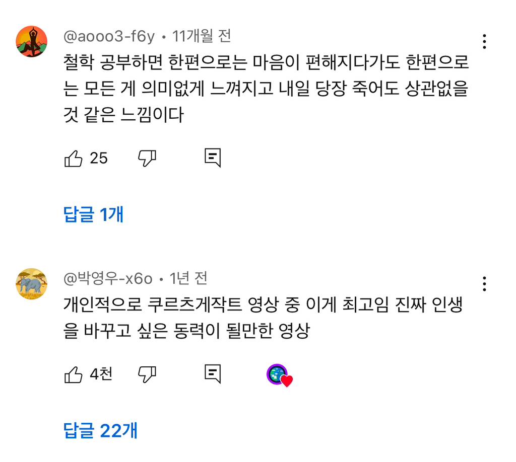 예전엔 아이돌이나 애니나 취미에 미친듯이 몰두하는 사람들 한심해보였는데 요즘은 좋아보임 | 인스티즈