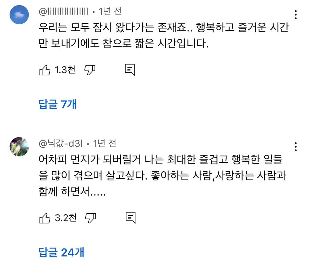 예전엔 아이돌이나 애니나 취미에 미친듯이 몰두하는 사람들 한심해보였는데 요즘은 좋아보임 | 인스티즈